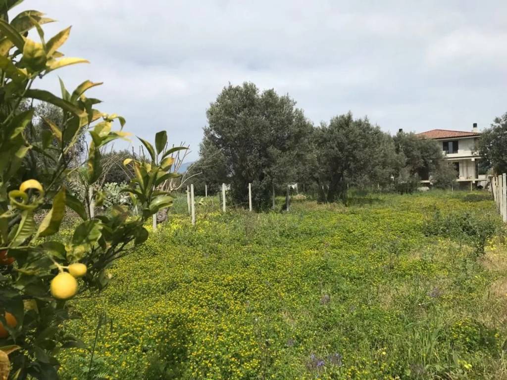 Terreno a Siderno in Strada Statale 106 Jonica S.N.C. - Foto 2