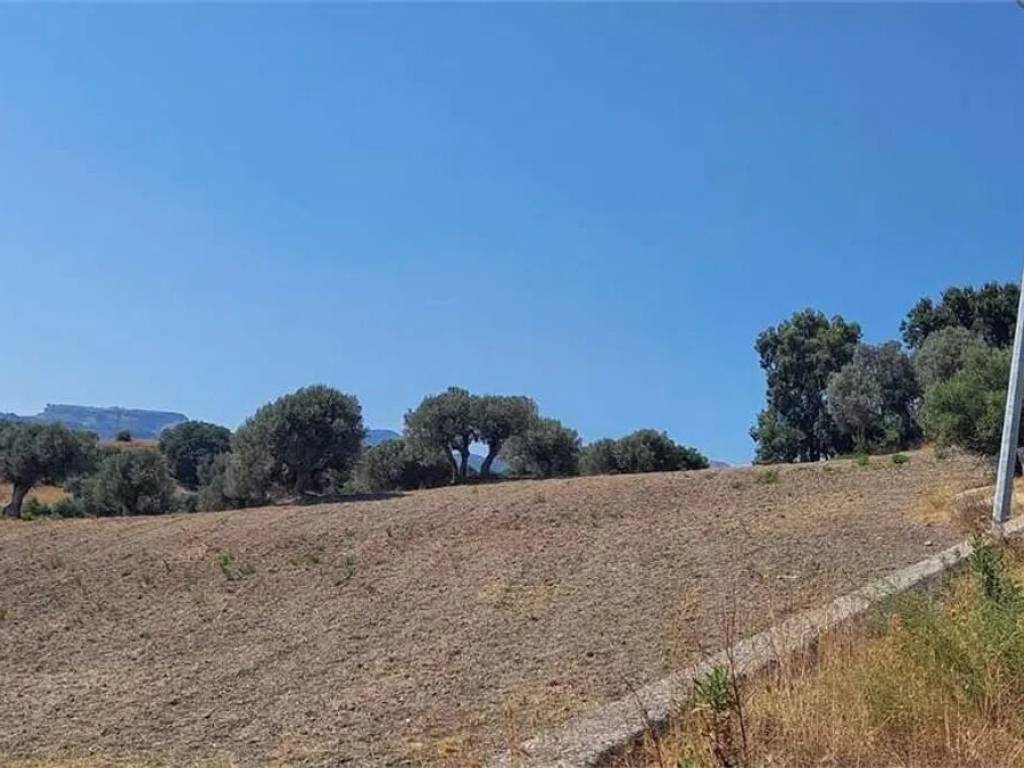 Terreno a Siderno in Via F Romeo - Foto 5