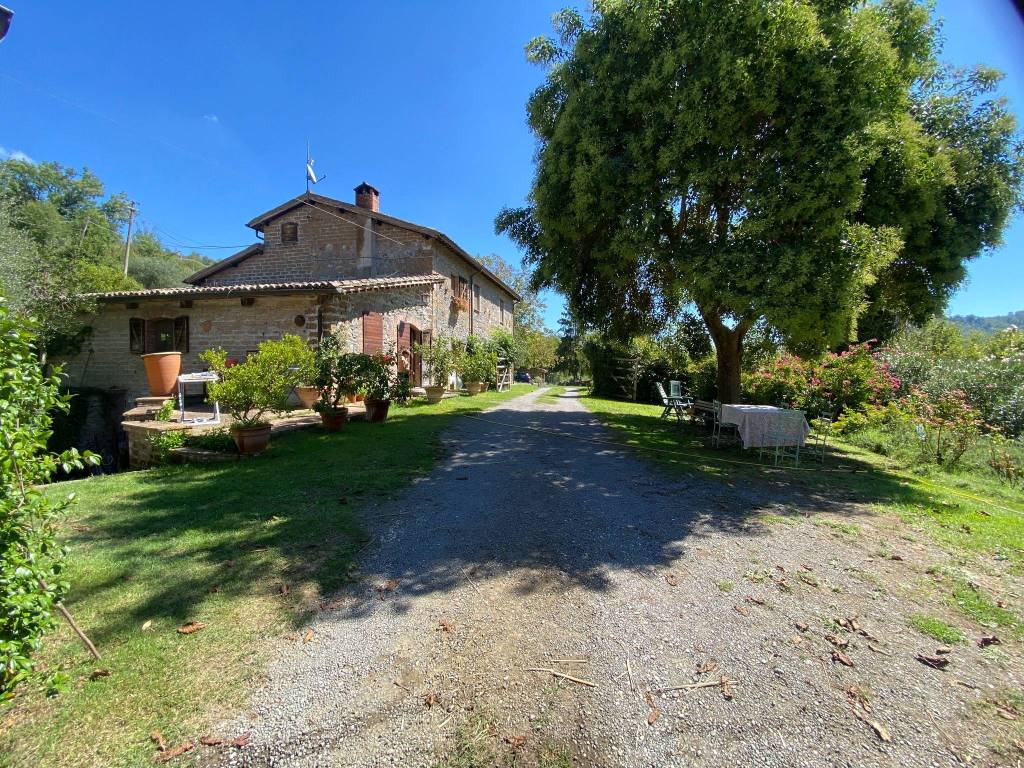Rustico / casale a Bagnoregio in Strada Provinciale Valle di Bagnoregio - Foto 4