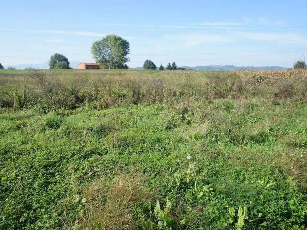 Terreno a Pescia in Via Di Stelle, 29 - Foto 2