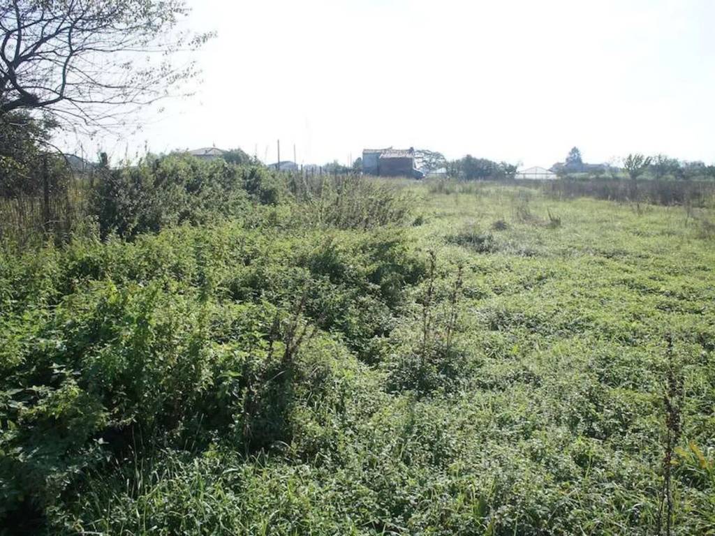 Terreno a Pescia in Via Di Stelle, 29 - Foto 3