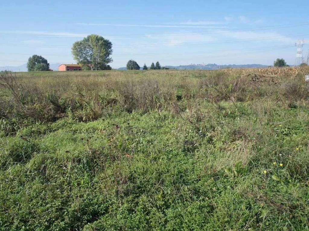 Terreno a Pescia in Via Di Stelle, 29 - Foto 4