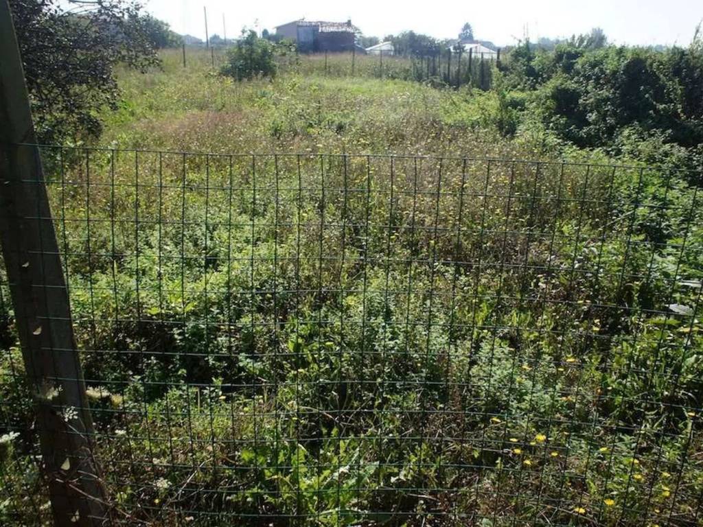 Terreno a Pescia in Via Di Stelle, 29 - Foto 5