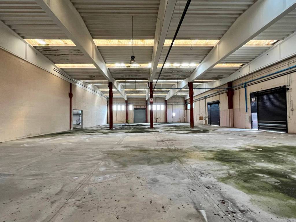 Immobile a Bitonto in SP231 - Foto 4