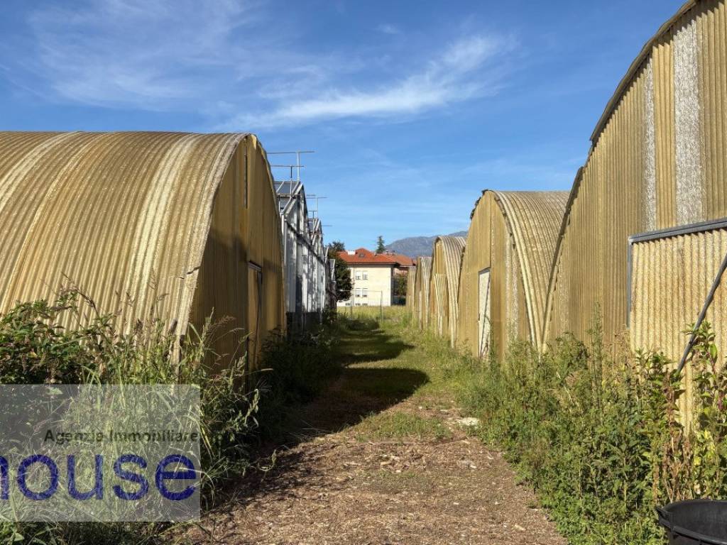 Terreno a Vigliano biellese - Foto 4