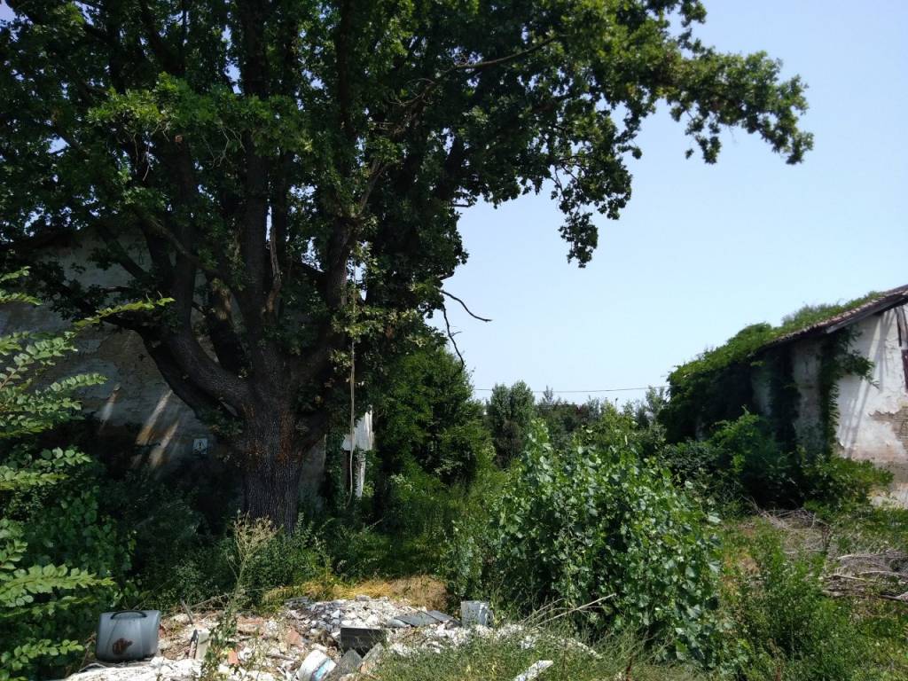 Terreno a Carpi in Via Nuova Ponente - Foto 2