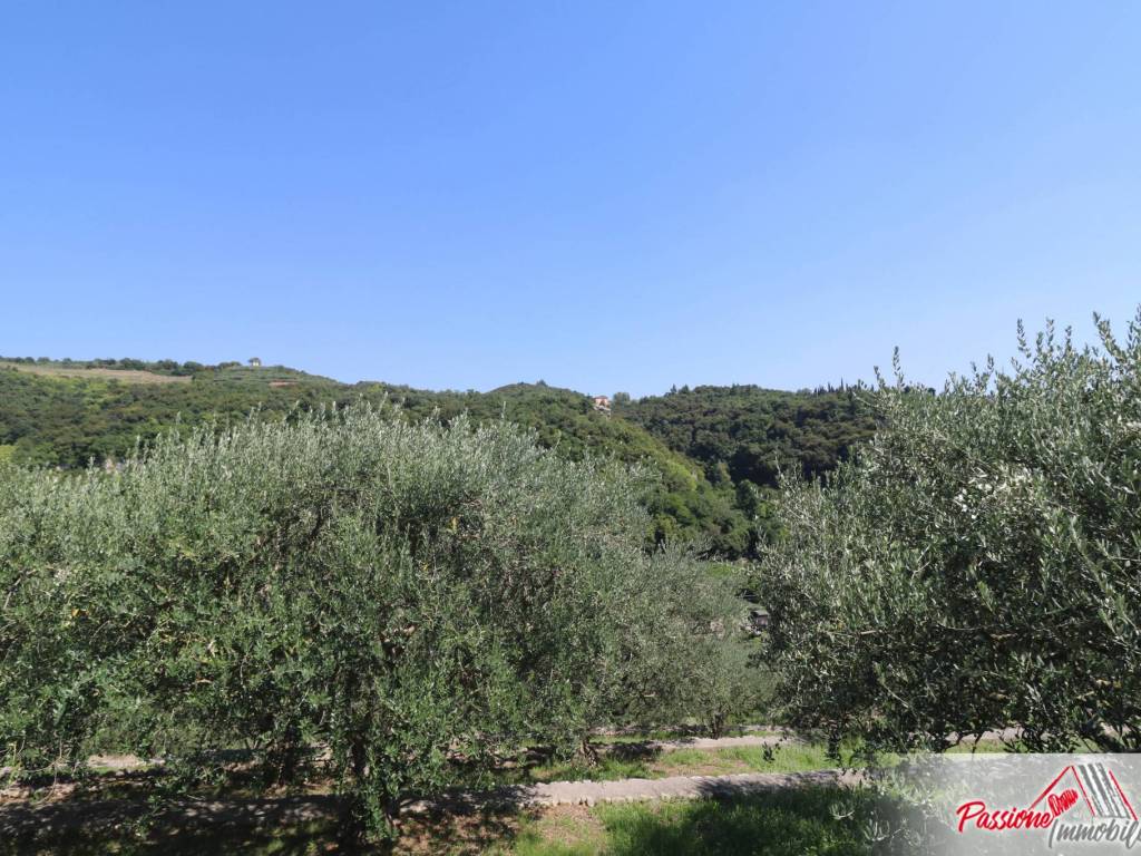 Terreno a Verona in Strada del Borago - Foto 5