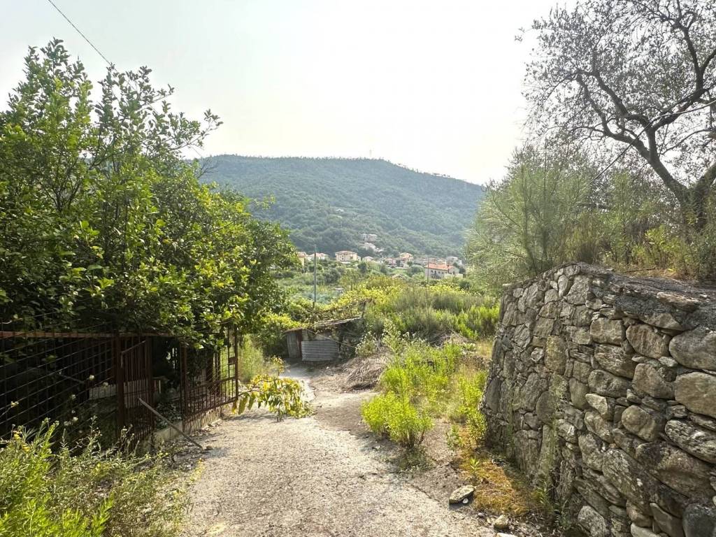 Terreno a Loano in Frazione VERZI REGIONE MULINO, 2 - Foto 4