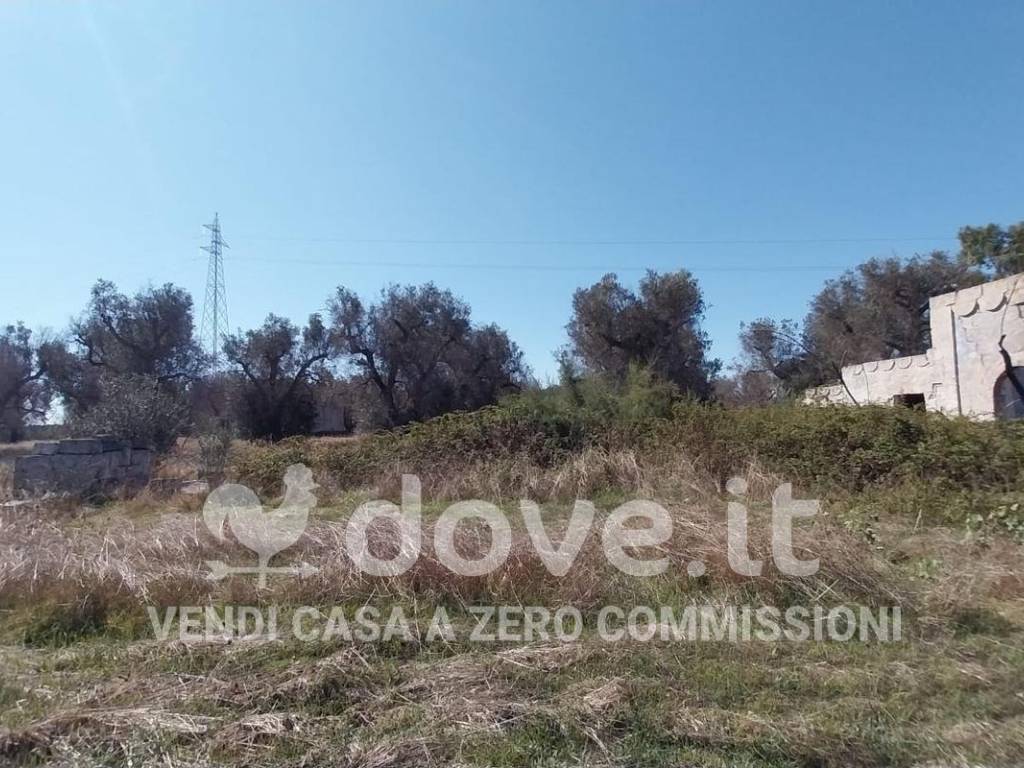 Rustico / casale a Francavilla fontana in Contrada Vecchia Brindisi - Foto 3