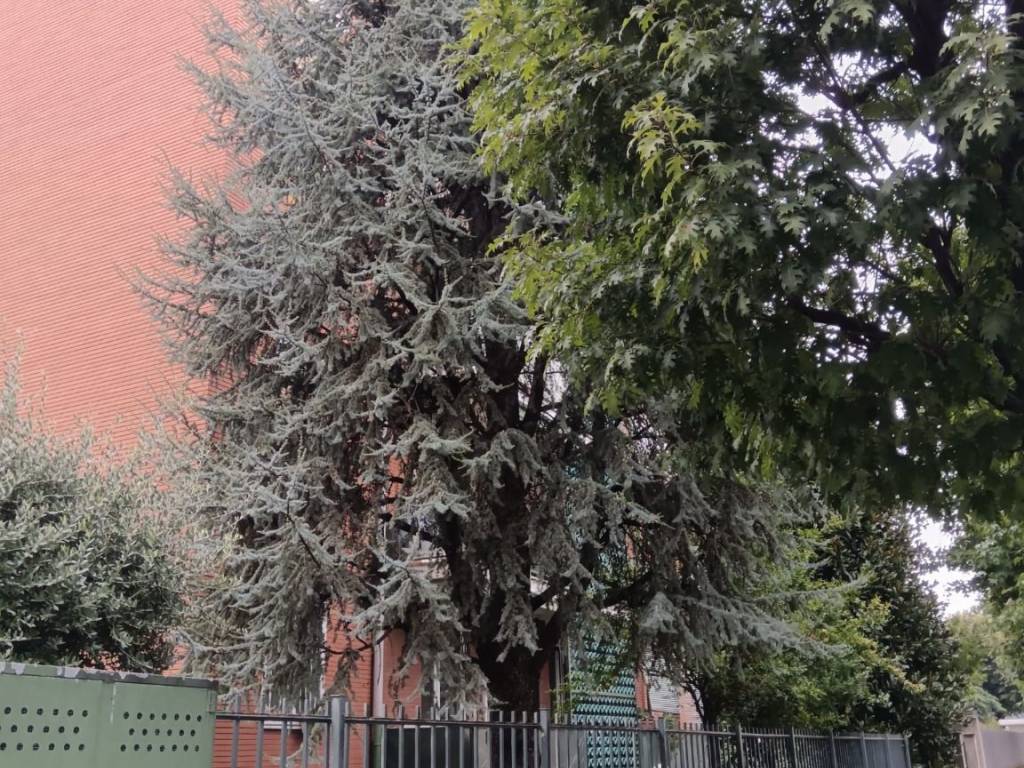 Appartamento a Treviglio in Viale Forze Armate, 4 - Foto 2