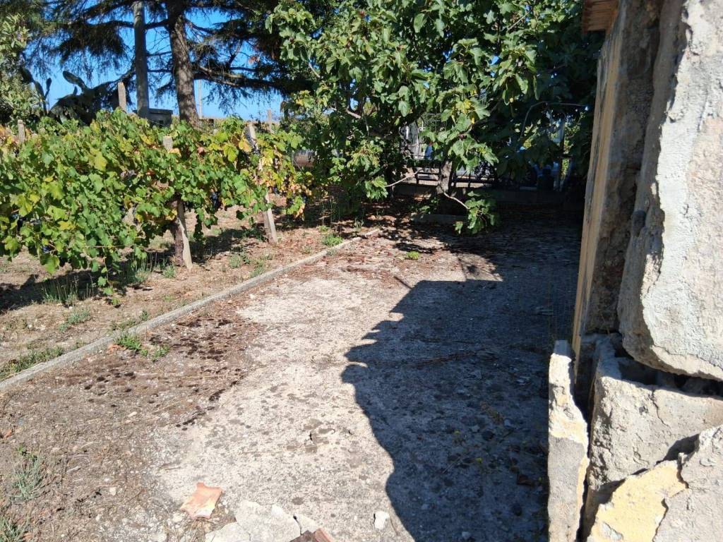 Rustico / casale a Capaccio paestum in via cortigliano - Foto 5