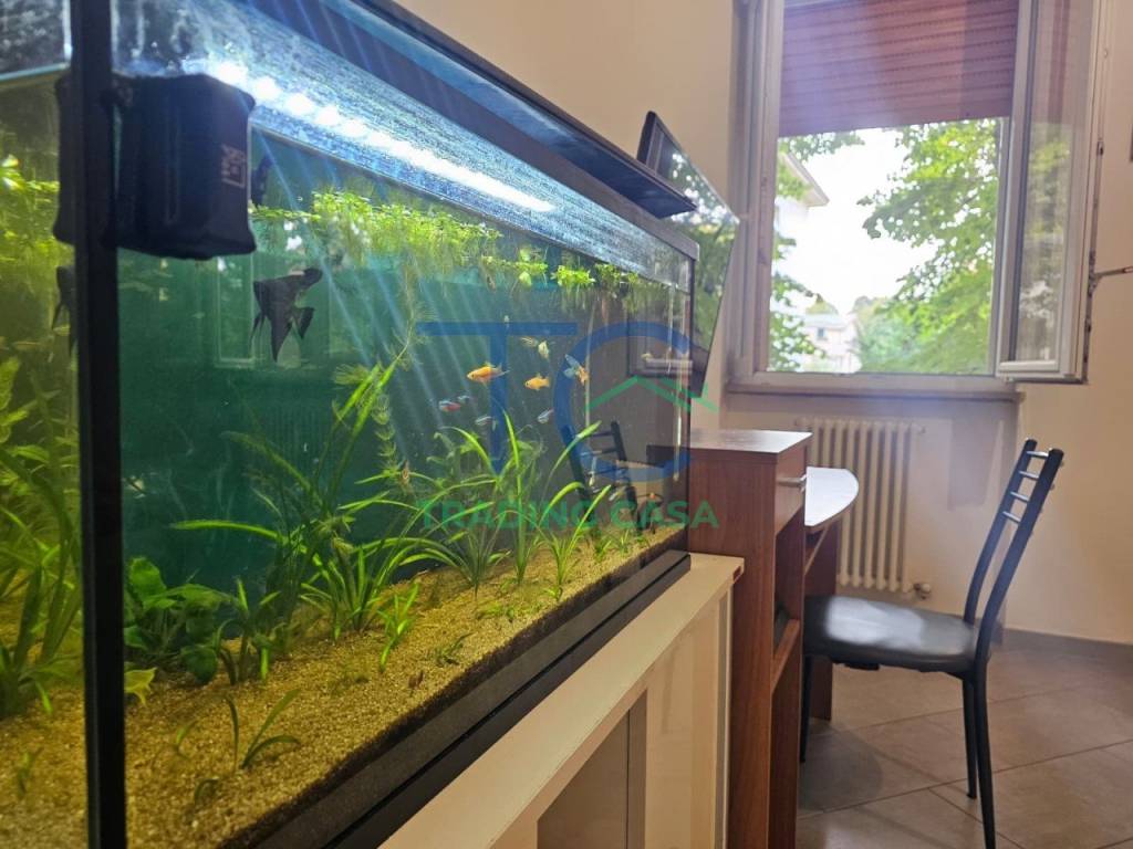 Appartamento a Piacenza in Via Stradella - Foto 2
