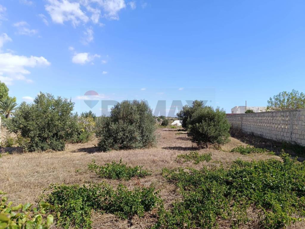 Terreno a Pachino in Contrada Ciappa Viale Stella Maris - Foto 2