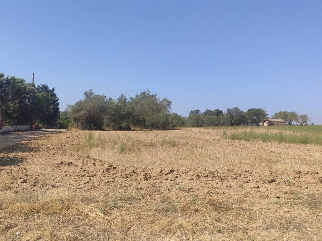 Rustico / casale a Caltagirone in Contrada Poggio Lanche - Foto 2