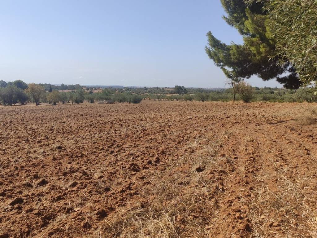 Rustico / casale a Caltagirone in Contrada Poggio Lanche - Foto 5