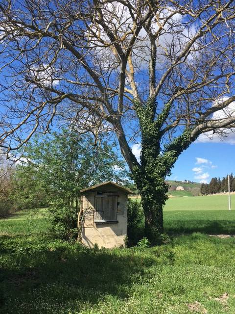Rustico / casale a Recanati - Foto 5