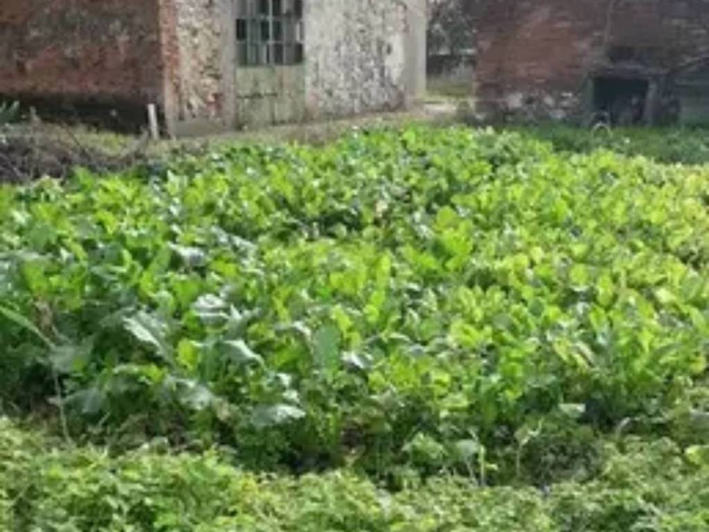 Villa a Pieve a nievole in Via Tevere - Foto 2