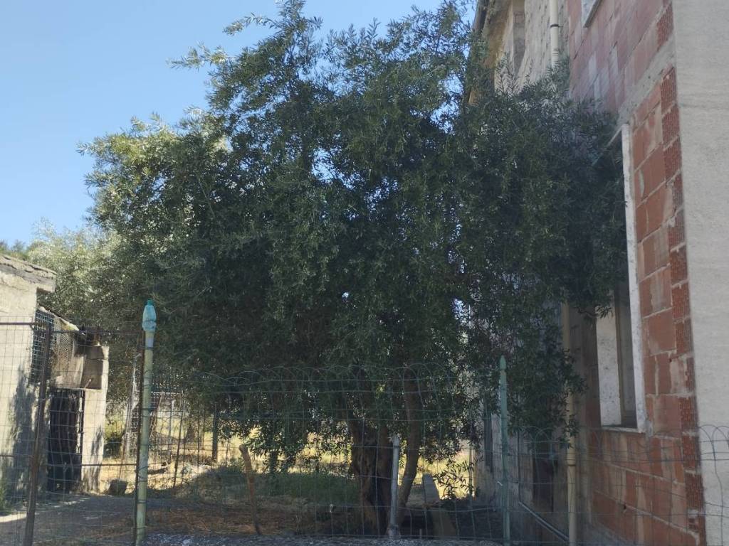 Villa a Senise in Contrada Mercato - Foto 2