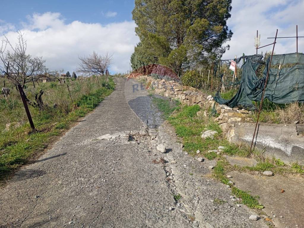 Terreno a Bronte in contrada corvo - Foto 2
