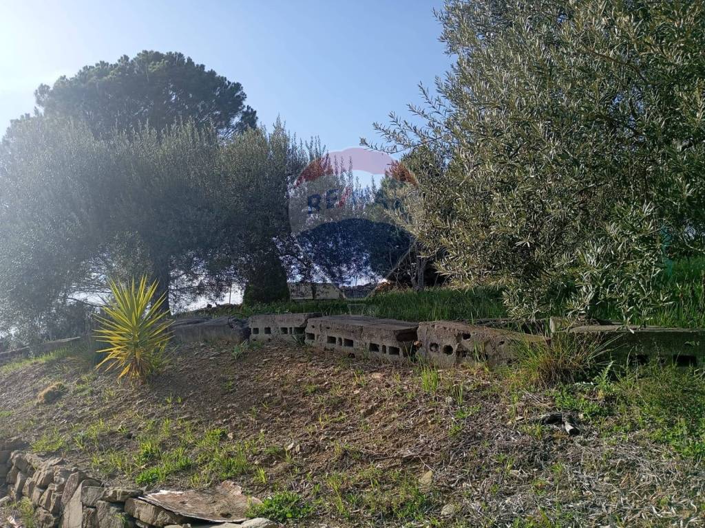Terreno a Bronte in contrada corvo - Foto 3