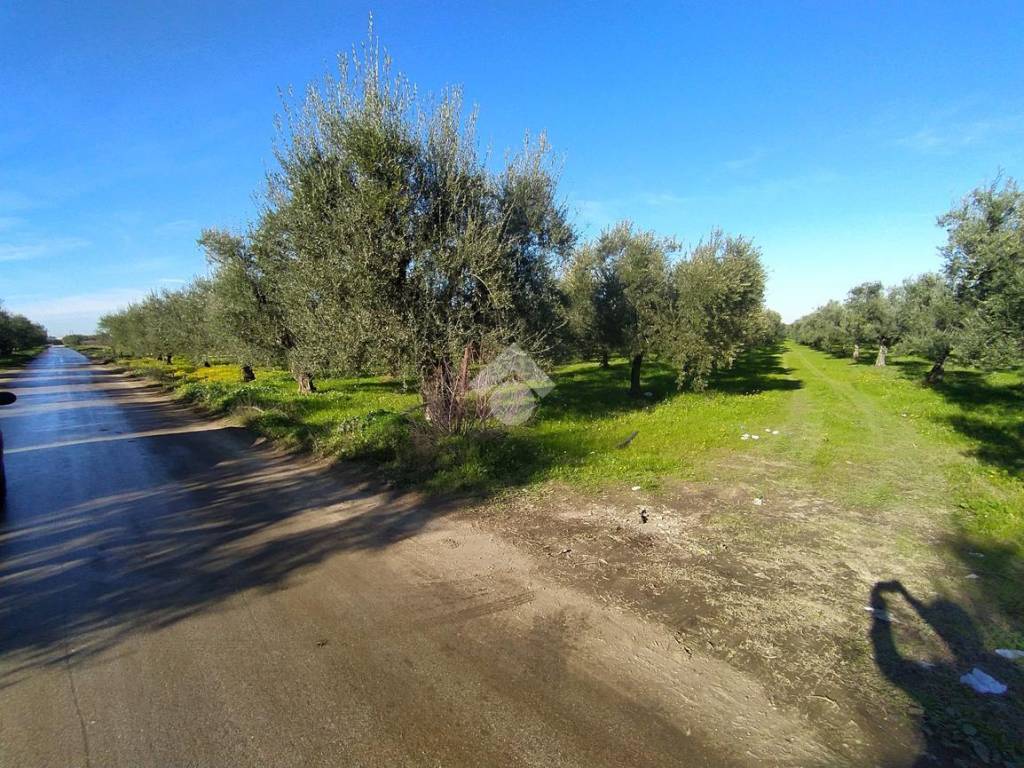 Terreno a Cerignola in Via San Marco, 1 - Foto 4