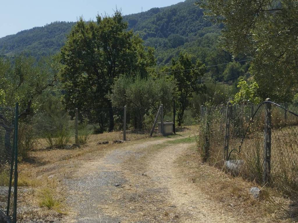 Terreno a Rivello in Viale Monastero - Foto 4