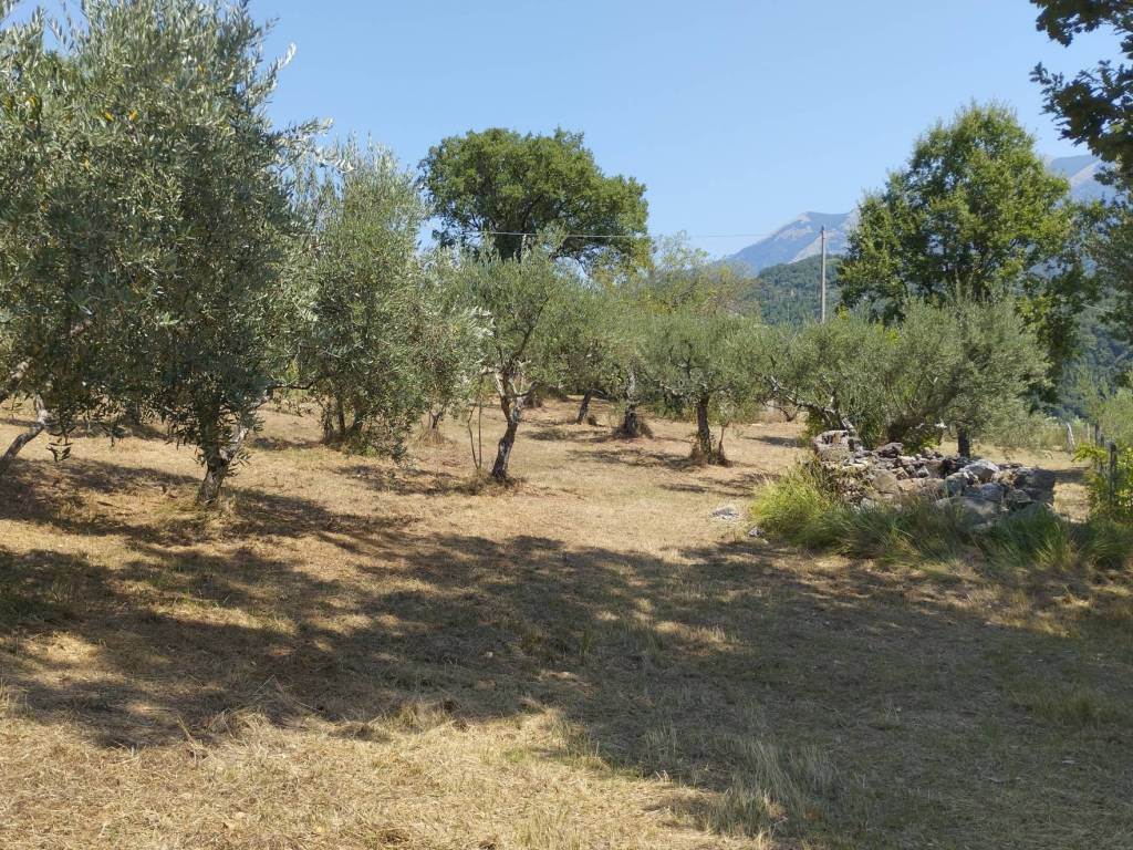 Terreno a Rivello in Viale Monastero - Foto 5