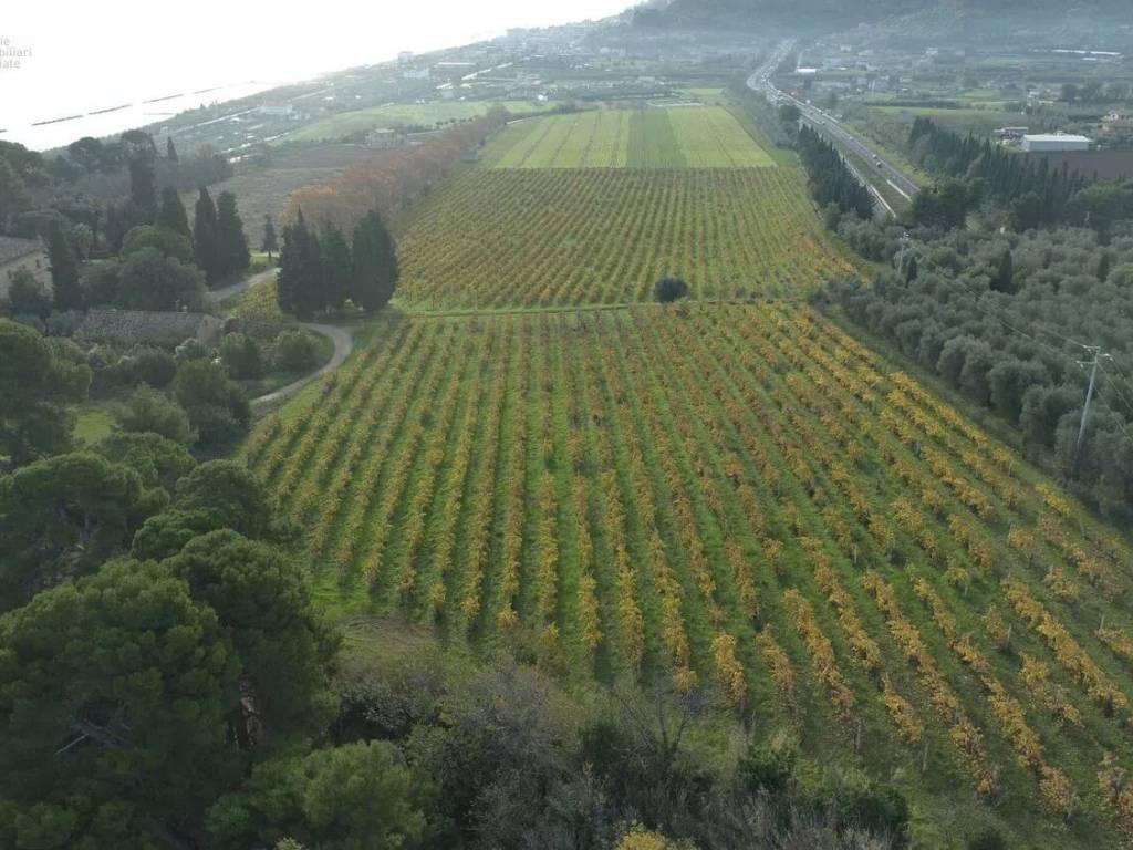 Terreno a Cupra marittima in Contrada Boccabianca, 28 - Foto 2