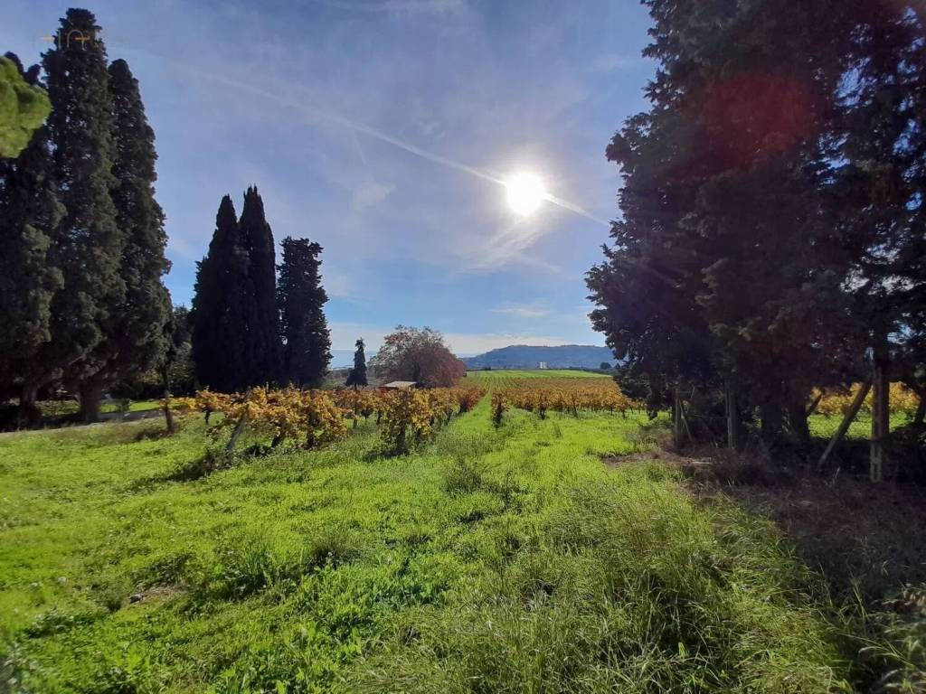 Terreno a Cupra marittima in Contrada Boccabianca, 28 - Foto 4
