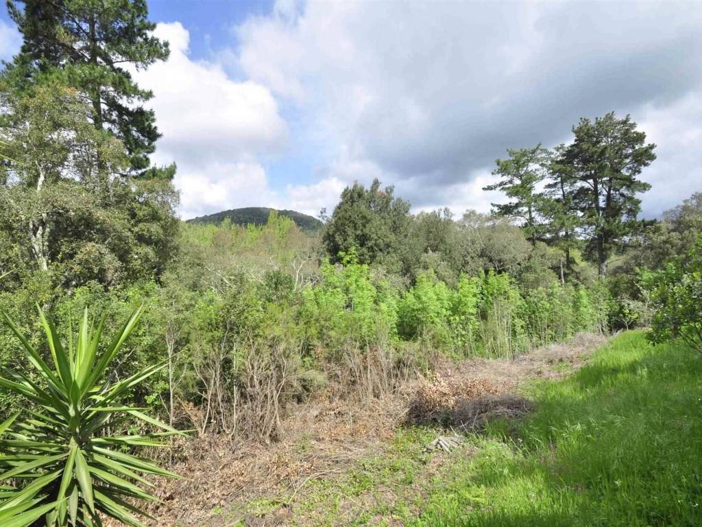Rustico / casale a Suvereto - Foto 4