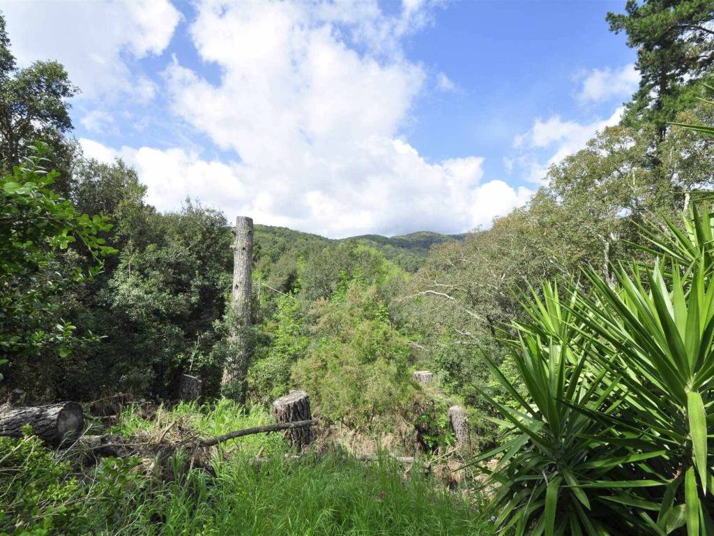 Rustico / casale a Suvereto - Foto 5