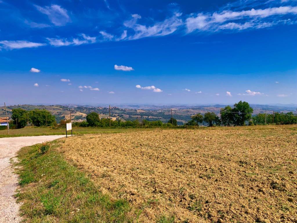 Terreno a Gualdo in Contrada Castello, 11 - Foto 4