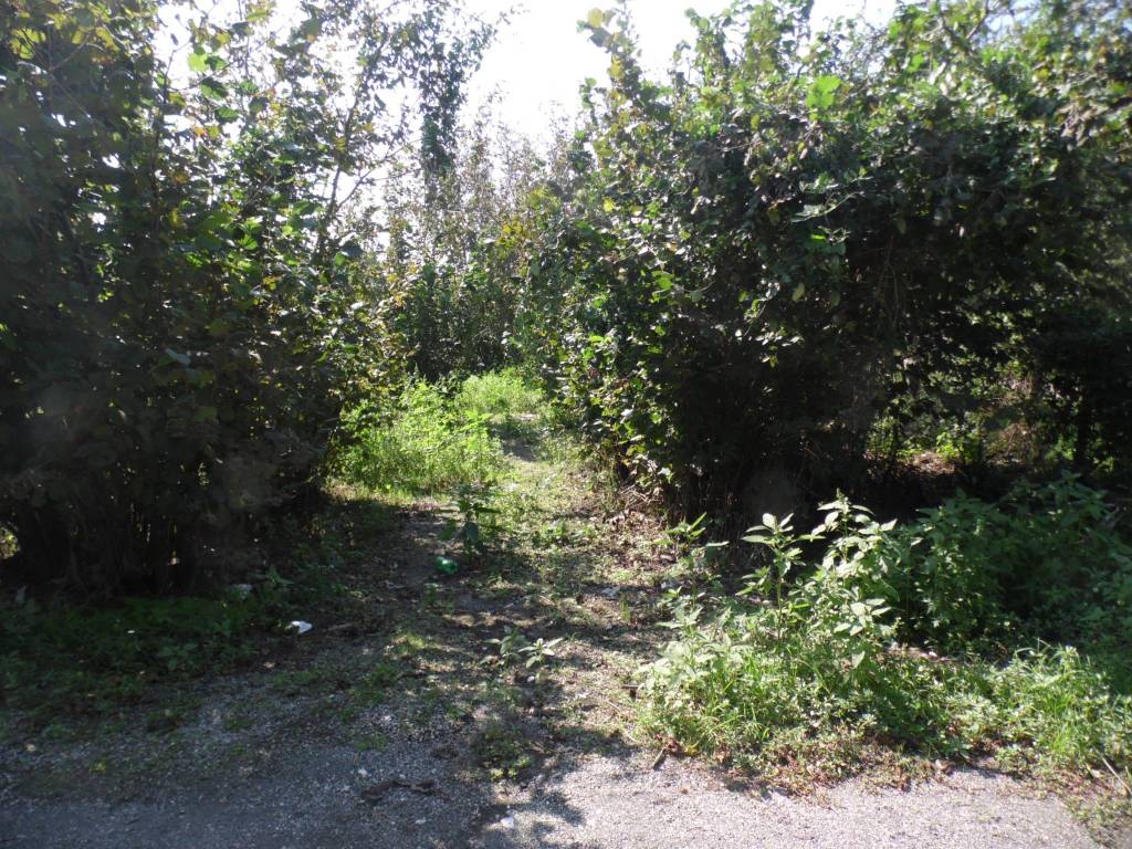 Terreno a Sarno in Via Sarno Palma - Foto 2