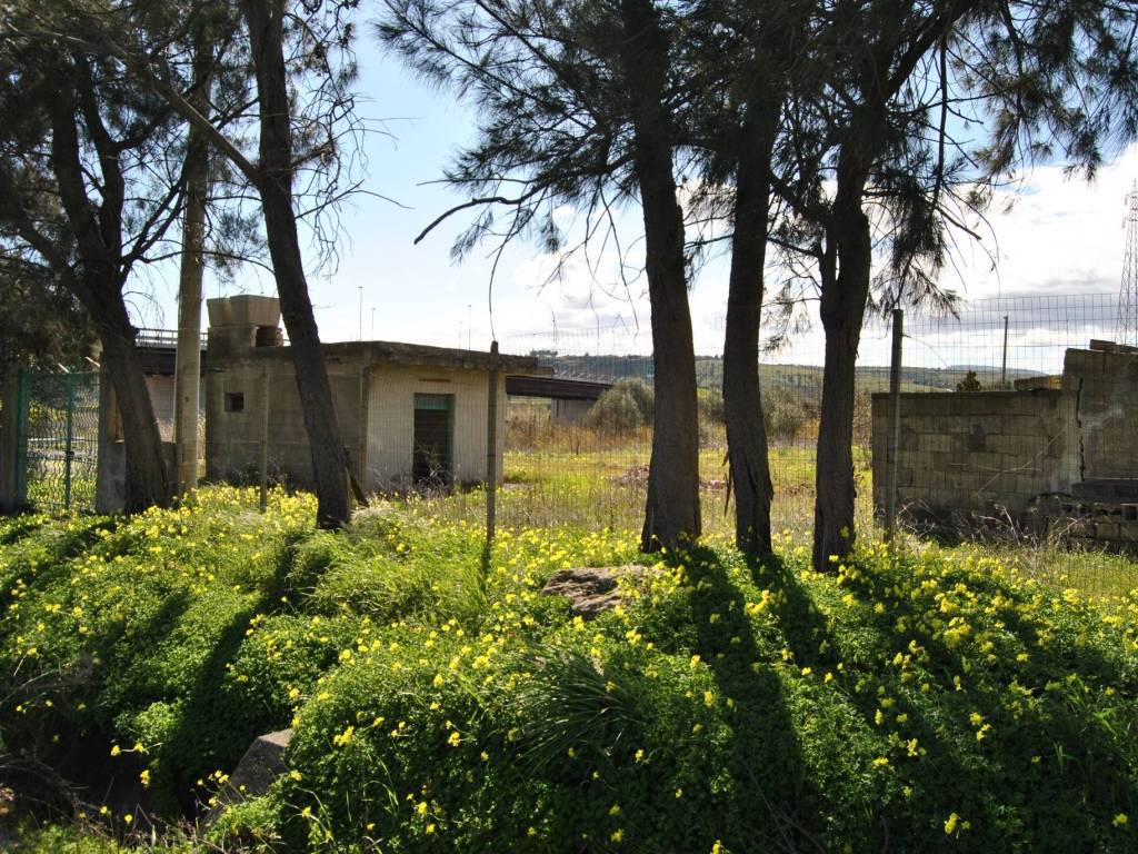 Terreno a Carlentini - Foto 3