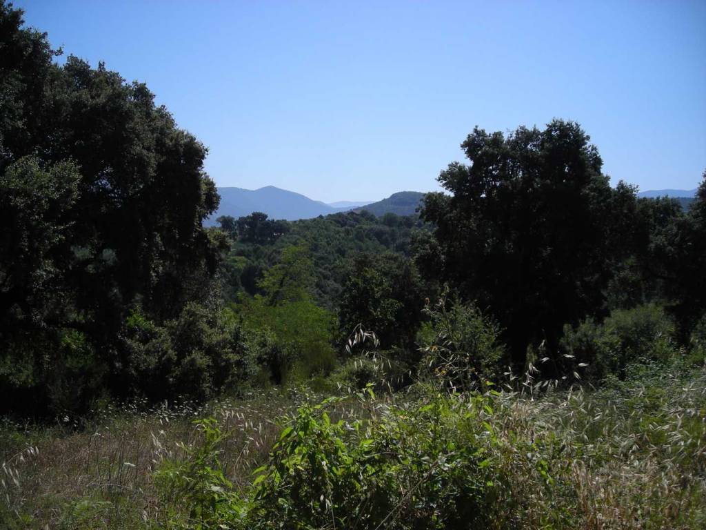 Terreno a Sezze in Via Foresta - Foto 2
