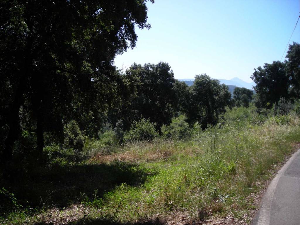 Terreno a Sezze in Via Foresta - Foto 3
