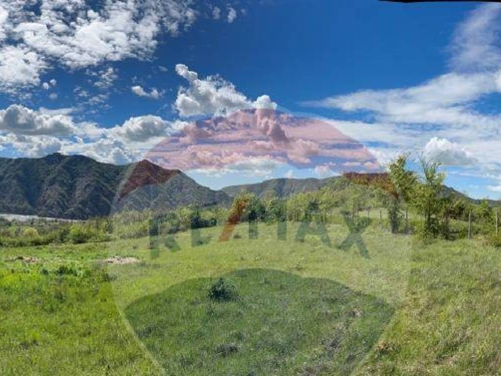 Terreno a Cantalupo ligure in via Prato, 50 - Foto 3