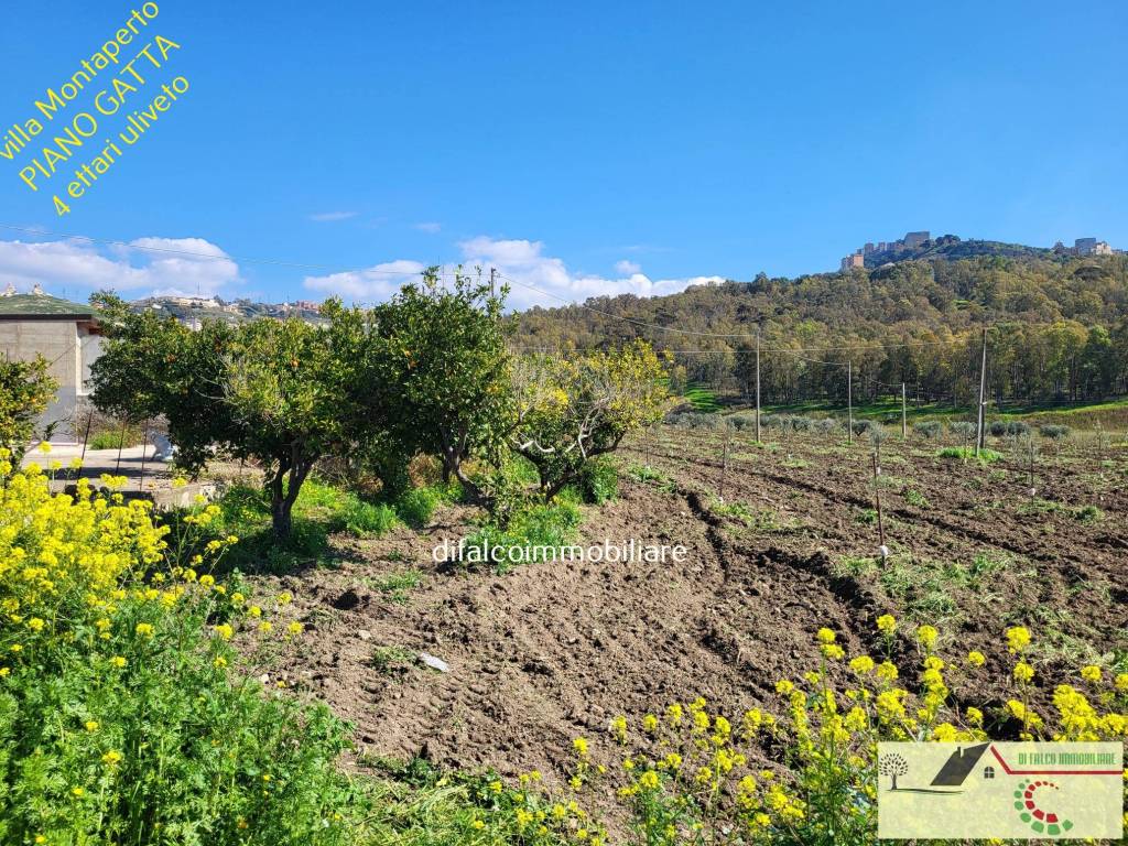 Villa a Agrigento in Contrada Piano Gatta - Foto 2