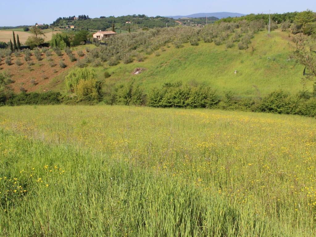 Villa a Poggibonsi - Foto 4