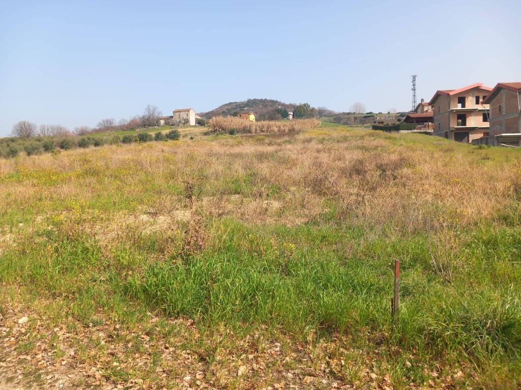 Terreno a Luzzi in Contrada Lupinelli - Foto 2
