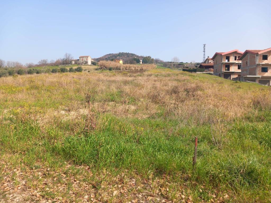 Terreno a Luzzi in Contrada Lupinelli - Foto 3
