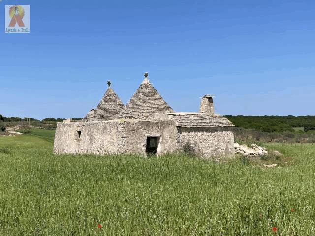 Rustico / casale a Martina franca in Strada Noci Zona C - Foto 3