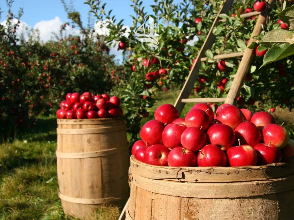 Terreno a Vadena in Via Caneve - Foto 2
