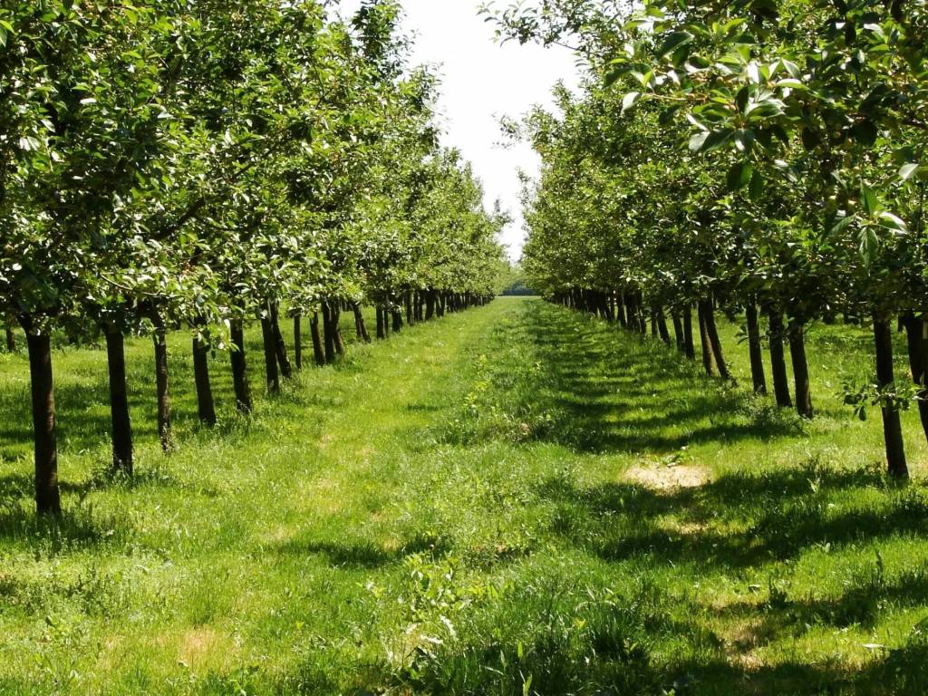 Terreno a Vadena in Via Caneve - Foto 3