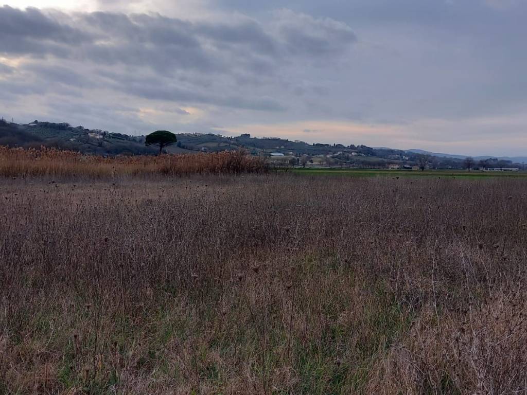 Terreno a Montefalco in Località San Clemente - Foto 2