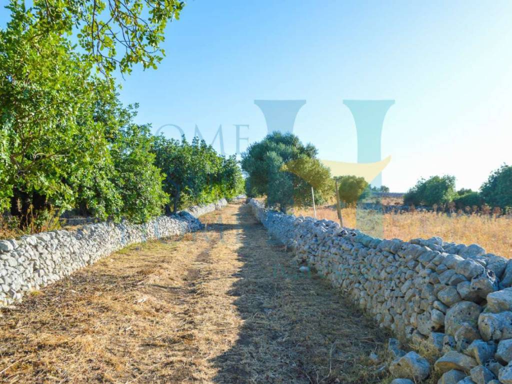 Palazzo / stabile a Rosolini - Foto 4