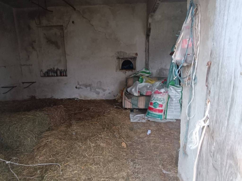 Rustico / casale a Trecchina in Contrada Zillona - Foto 4