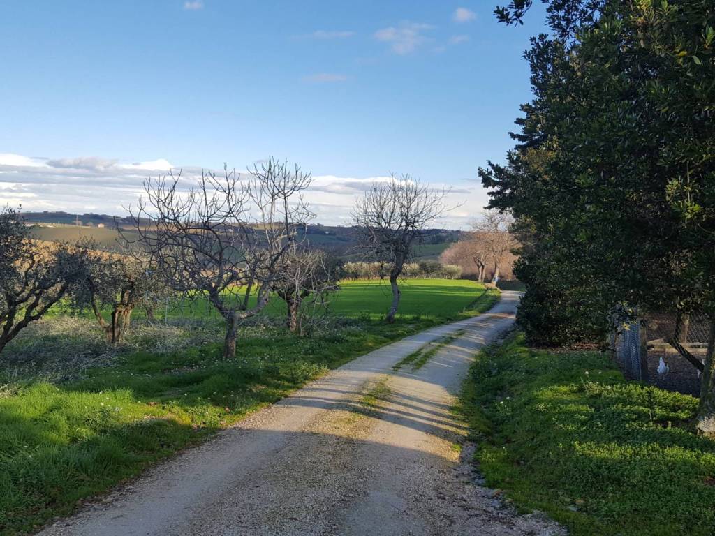 Rustico / casale a Senigallia - Foto 5