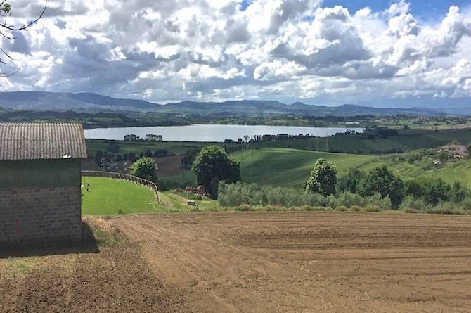 Rustico / casale a Castiglione del lago in Castiglion del Lago - Foto 2