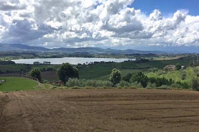 Rustico / casale a Castiglione del lago in Castiglion del Lago - Foto 3